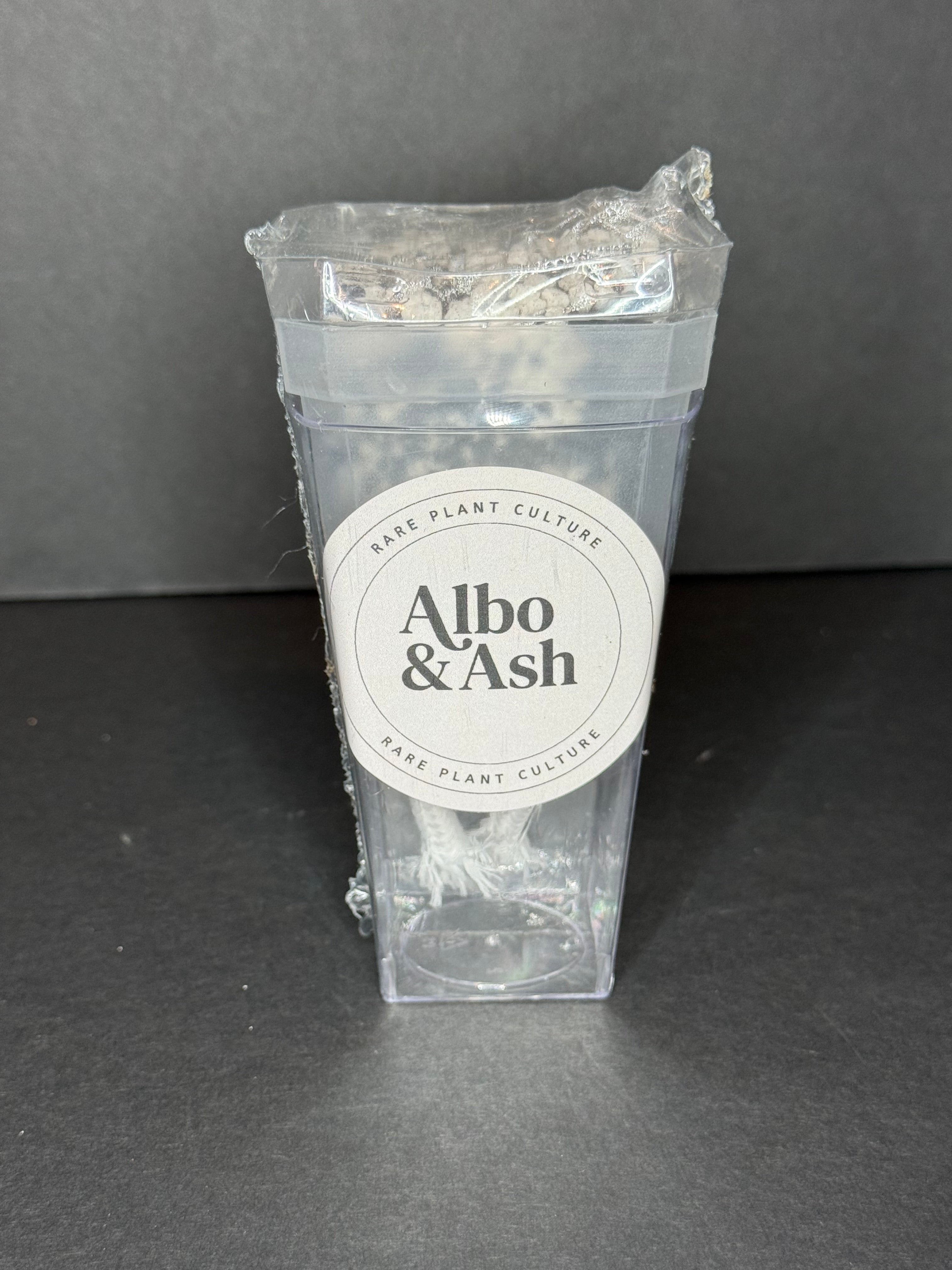 All-In-One TC & Corm Acclimation Kit