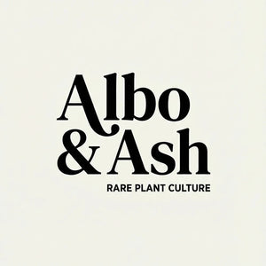 Albo & Ash